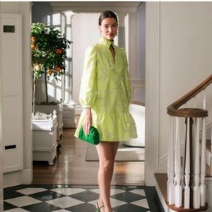 Tuckernuck Citron Fil Coupe Palmerston Dress New